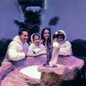 Dubai Aquarium Tickets