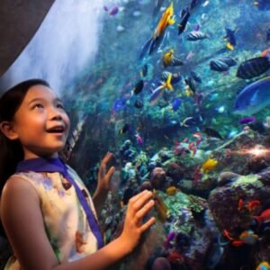 Atlantis Aquaventure Waterpark