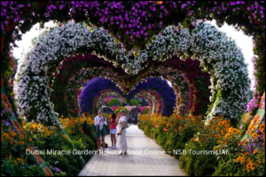 Dubai Miracle Garden tickets – world largest flower garden attraction by NSB Tourism LLC