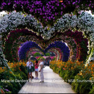 Dubai Miracle Garden tickets – world largest flower garden attraction by NSB Tourism LLC
