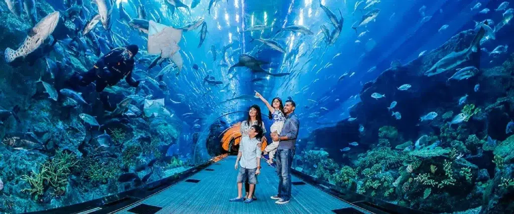 Book Dubai Aquarium & Underwater Zoo Tickets | NSB Tourism
