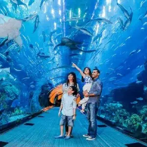 Book Dubai Aquarium & Underwater Zoo Tickets | NSB Tourism
