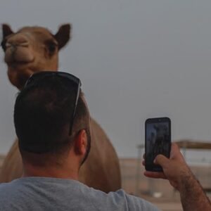Desert Safari Abu Dhabi