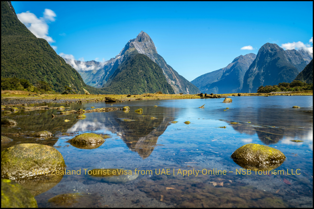 Apply for New Zealand tourist eVisa from UAE with NSB Tourism LLC. Expert visa assistance, clear documentation support, and transparent pricing. Apply online today (5)