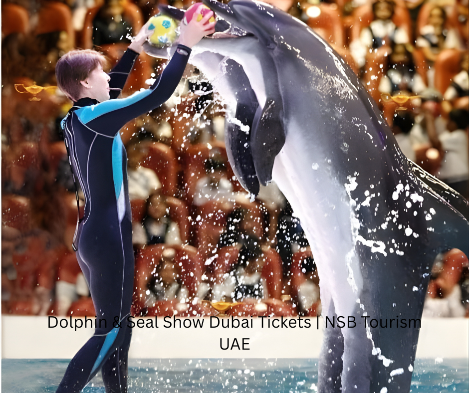 Dolphin & Seal Show Dubai Tickets NSB Tourism UAE (2)