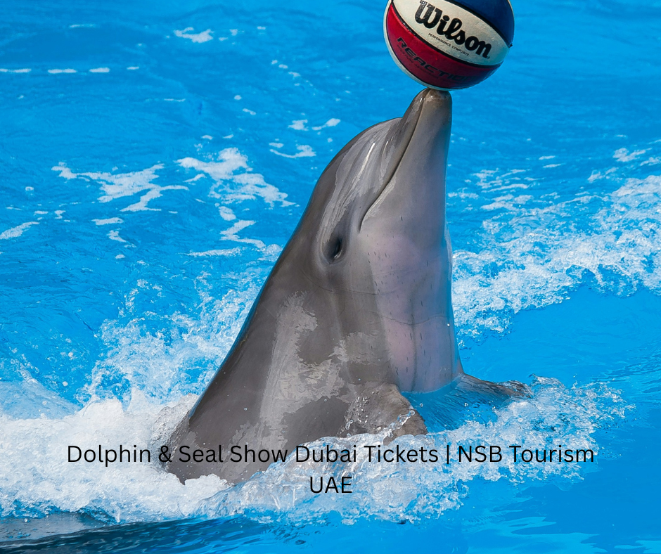 Dolphin & Seal Show Dubai Tickets NSB Tourism UAE (4)