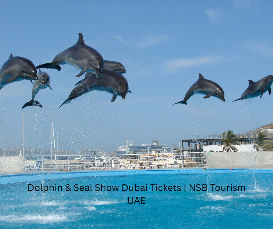 Dolphin & Seal Show Dubai Tickets NSB Tourism UAE (7)