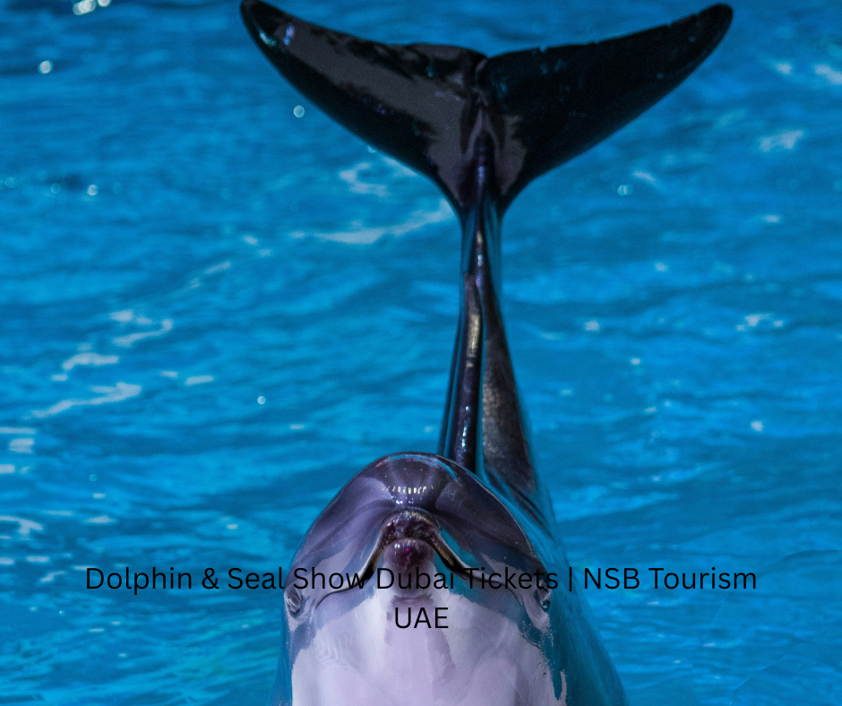 Dolphin & Seal Show Dubai Tickets NSB Tourism UAE (8)