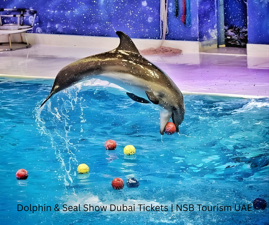 Dolphin & Seal Show Dubai Tickets NSB Tourism UAE