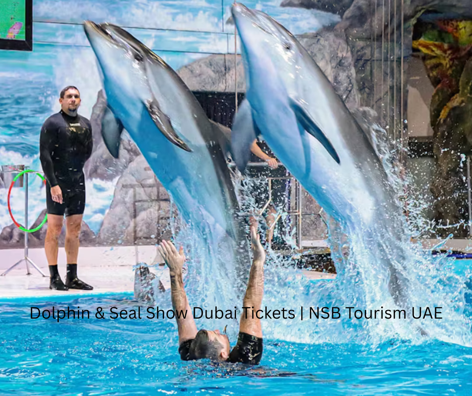 Dolphin and Seal Show Dubai live performance (3)
