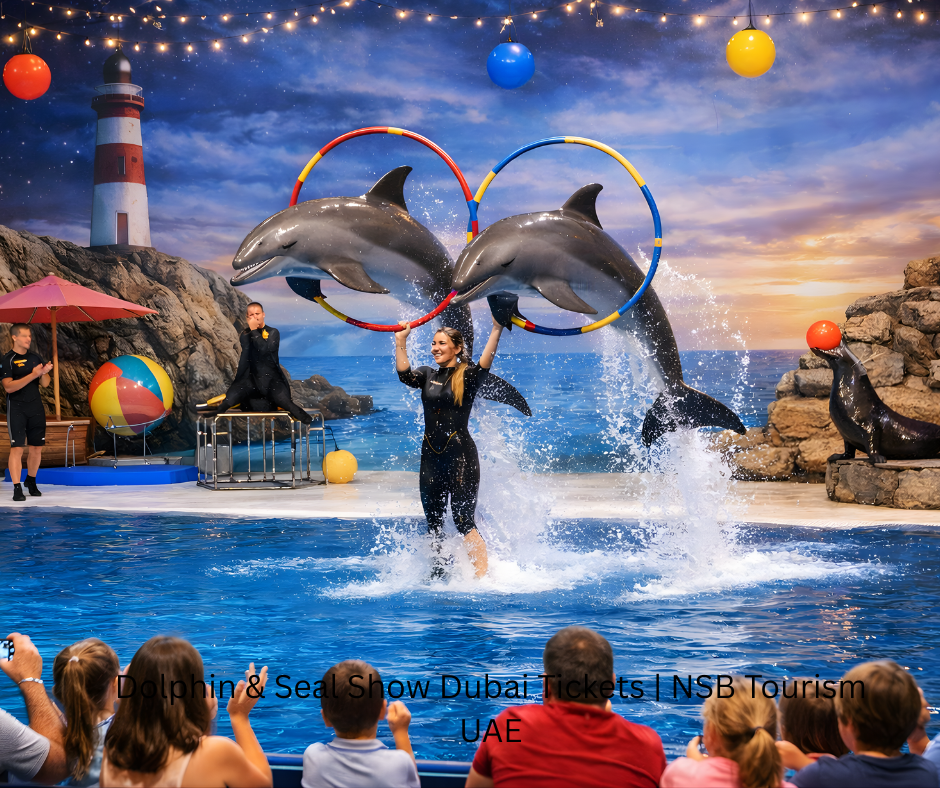 Dolphin and Seal Show Dubai live performance