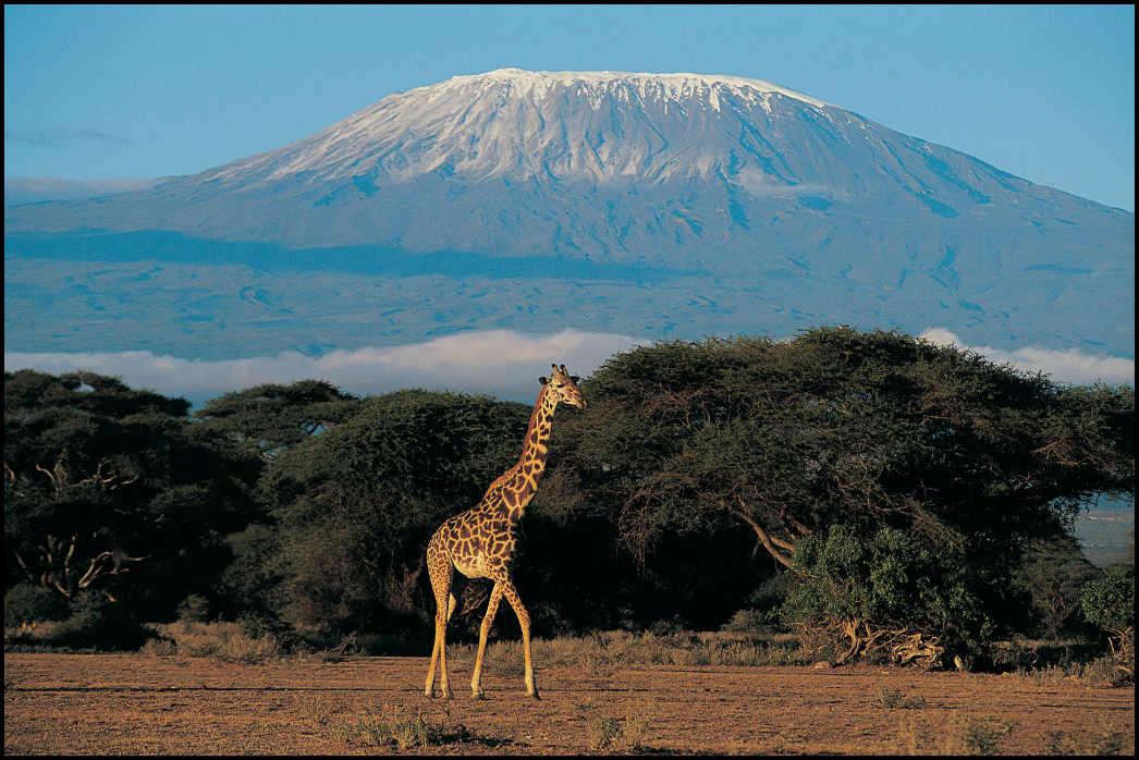 Kenya Tourist Visa _ NSB Tourism LLC (2)