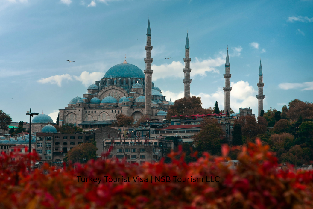 Turkey Tourist Visa _ NSB Tourism LLC (5)