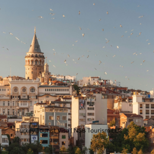 Turkey tourist visa processing service by NSB Tourism LLC