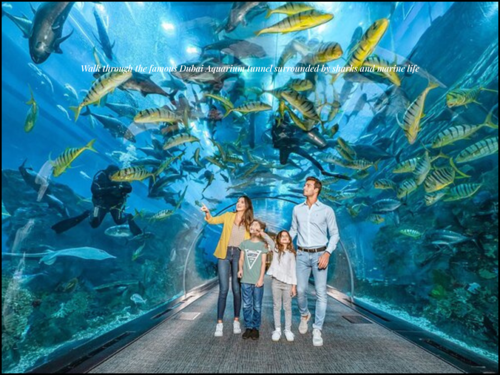 Dubai Aquarium tunnel sharks rays inside Dubai Mall aquarium experience
