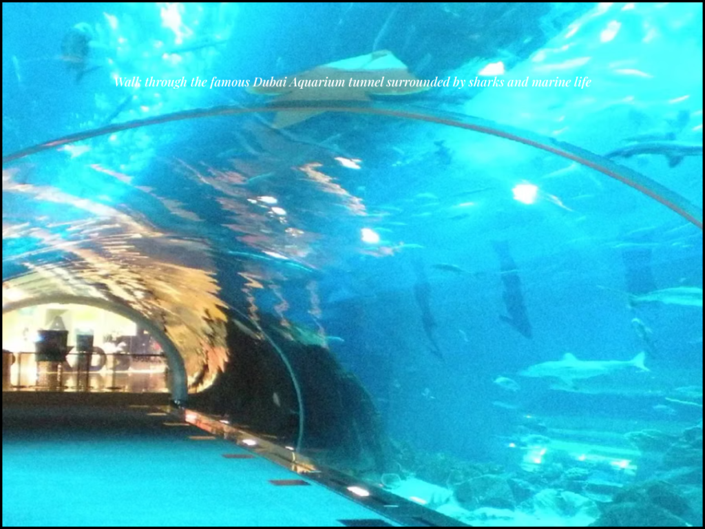 Dubai Aquarium tunnel sharks rays inside Dubai Mall aquarium experience