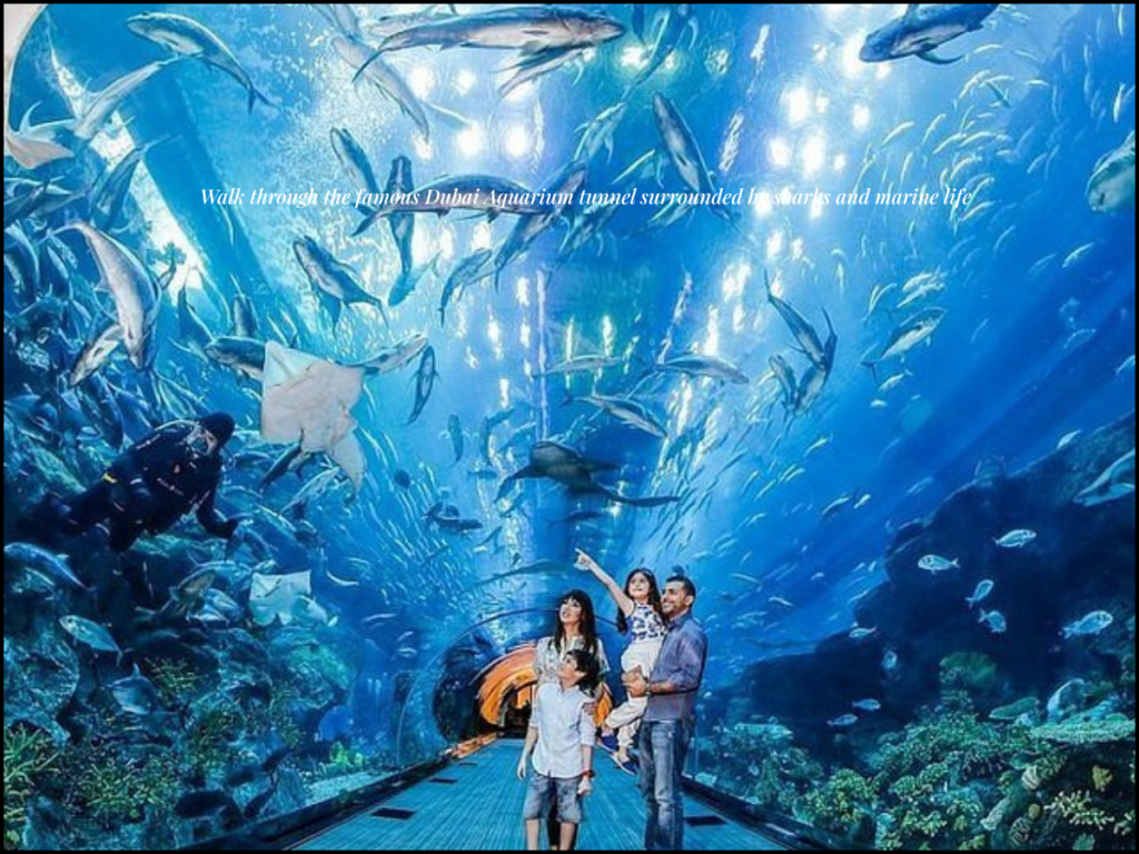 Dubai Aquarium tunnel sharks rays inside Dubai Mall aquarium experience