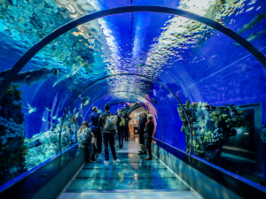 Family visiting Dubai Aquarium and Underwater Zoo in Dubai