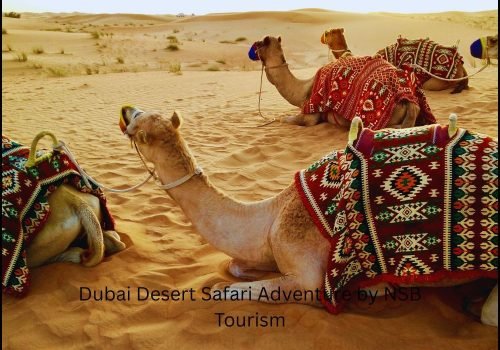 Dubai Desert Safari NSB Tourism 2