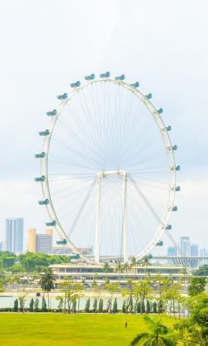 Singapore flyer at singapore